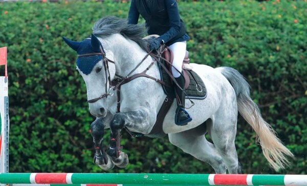 Concurso Saltos Nacional