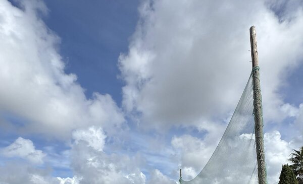 489041570_1481158039852824_1685996627228949813_n