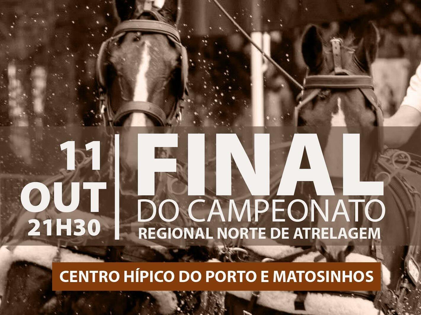 Campeonato Regional Norte de Atrelagem