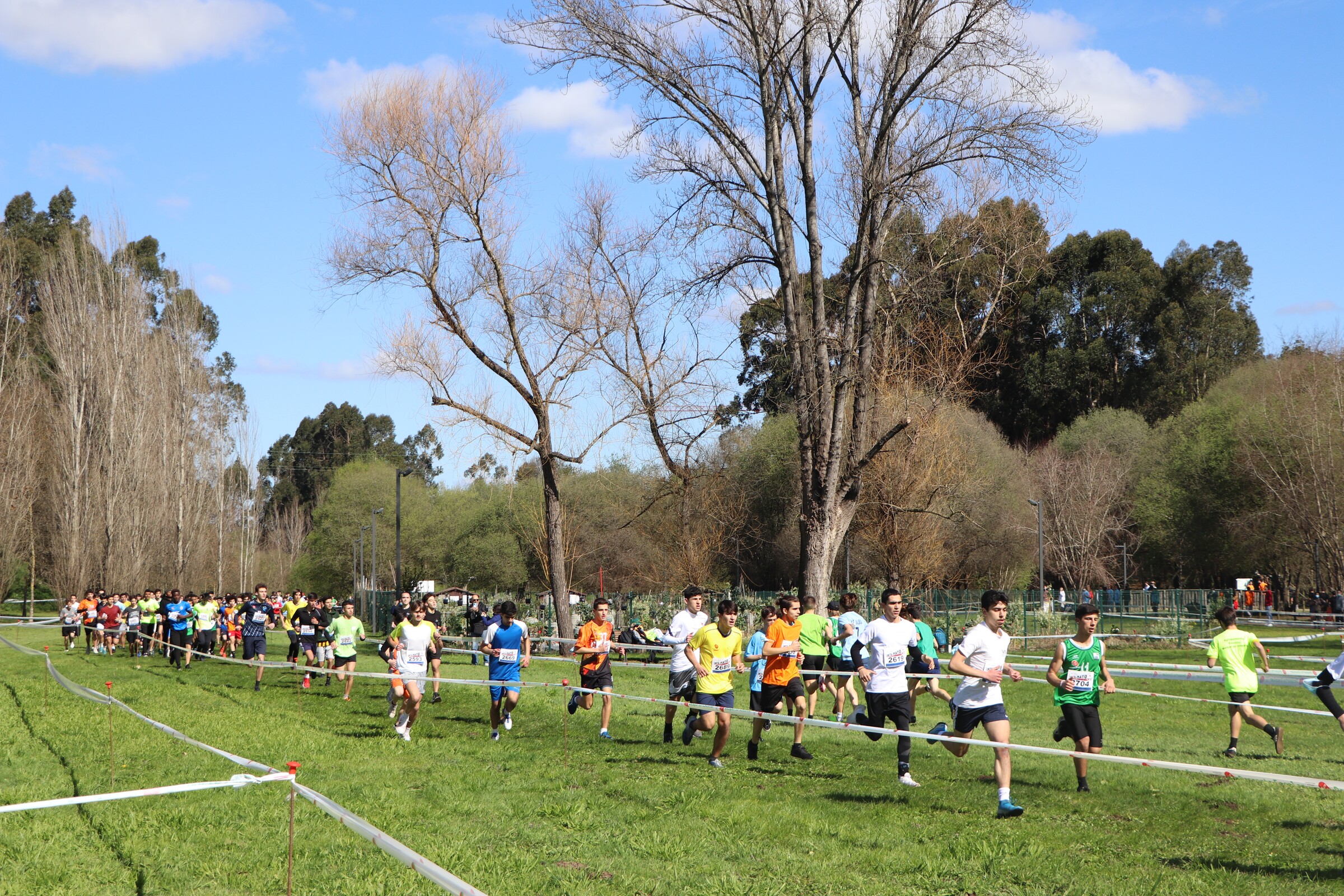 Corta-Mato Escolar 2024/2025