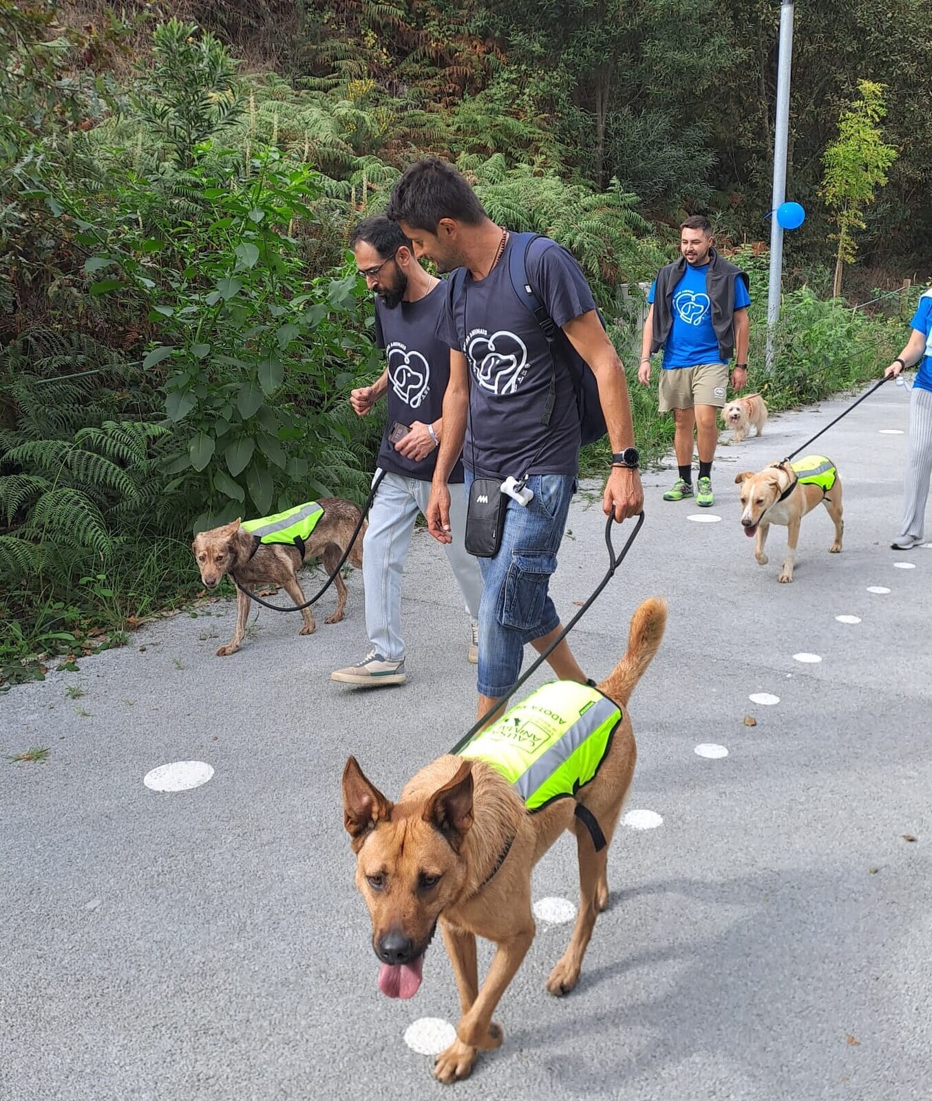 Cãominhada da Família Midas