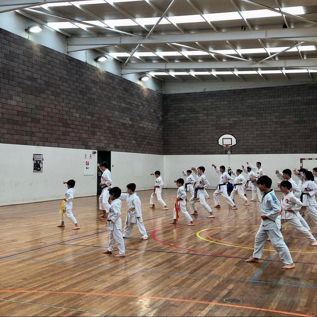 Karaté - Estágio dos Reis